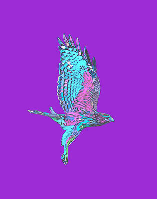 Bird Wall Art featuring the photograph Hawk X by David McKinney