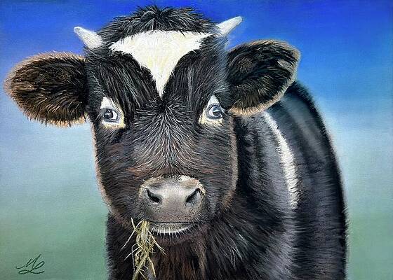 Curious Calf on a Sunny Day Wall Art