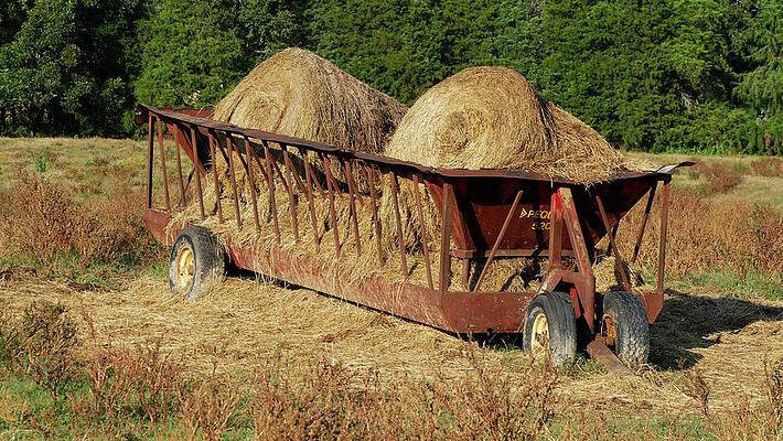 Newberry Wall Art featuring the photograph Hay Cart by Brian Hare