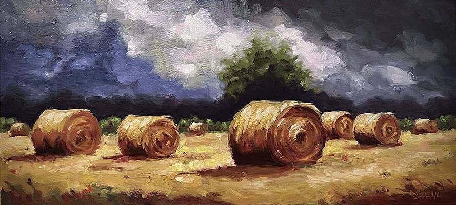 Hayfield, a break in the storm by Michael Boehl