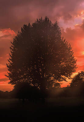 Beautiful Photograph - Hazy July Sunset by Jason Fink