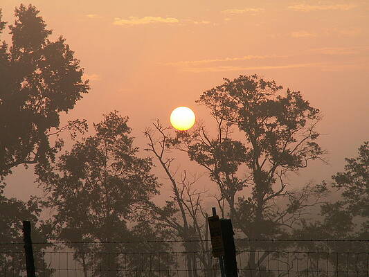 Newberry Wall Art featuring the photograph Hazy Sunrise by Brian Hare