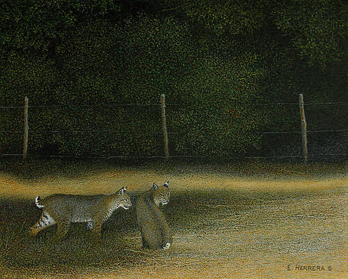 The Fence Line by Eleazar Herrera