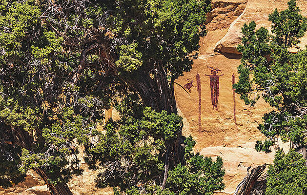 Alien Photograph - Head Of Sinbad And Trees, Utah by Abbie Warnock
