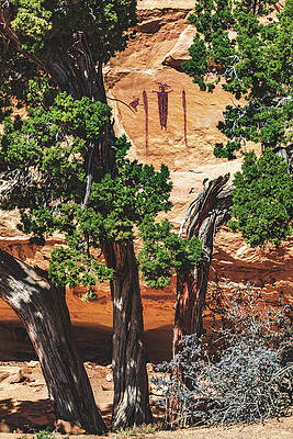 Alien Photograph - Head Of Sinbad With Tree, Utah - Vertical by Abbie Warnock