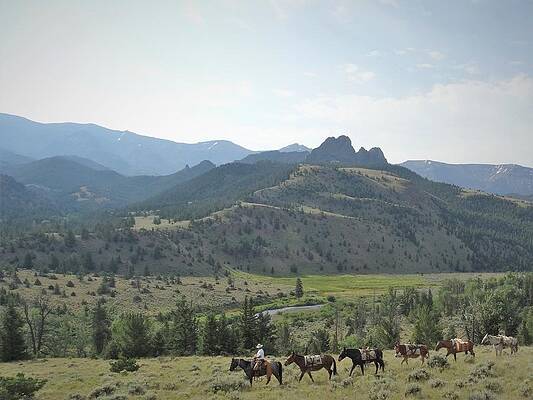 Cowboy Wall Art featuring the photograph Headed Home #2 by Alden Ballard