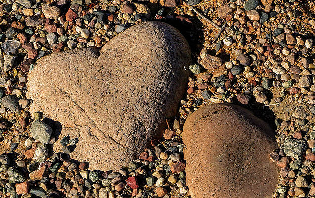 Desert Wall Art featuring the photograph Heart Rocks 1 by Dawn Richards