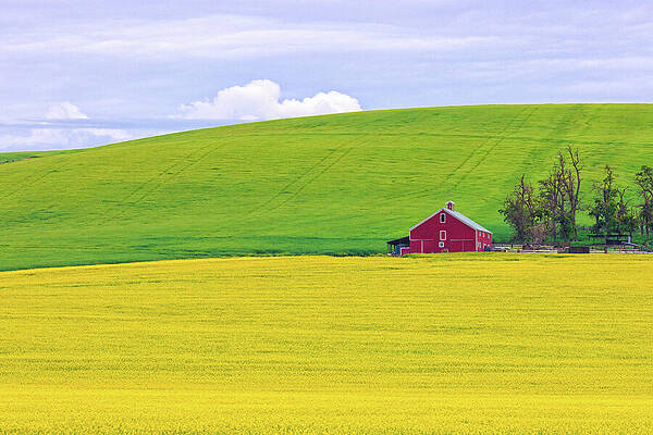 Red Barn on Lush Landscape Wall Art