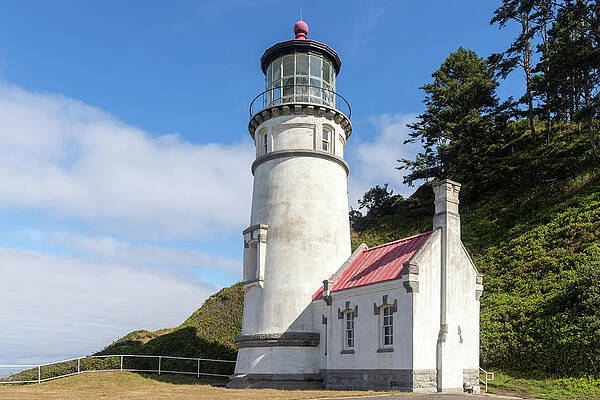 Oregon Wall Art featuring the photograph Heceta Head Lighthouse In Oregon by Ed Clark