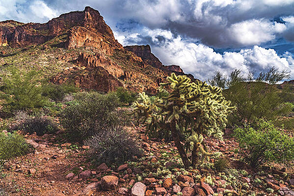 Wall Art featuring the photograph Hieroglyphic Trail Landscape, Superstition Mountains, Arizona by Abbie Warnock