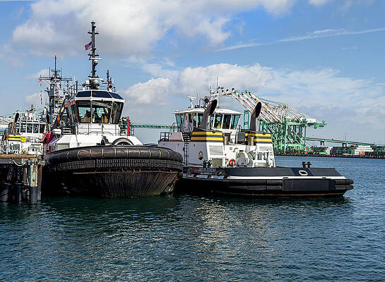 Wall Art featuring the photograph Hercules And The Delta Teresa by Joe Schofield