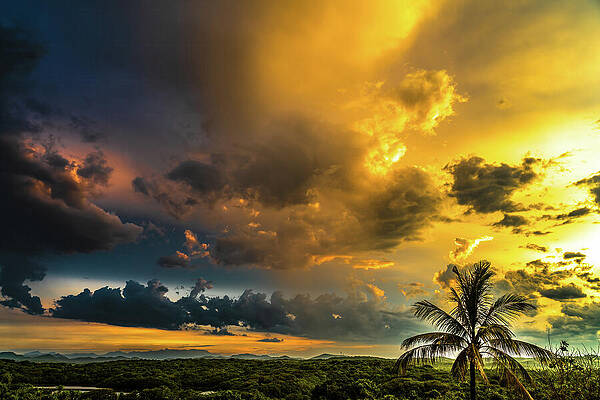Wall Art featuring the photograph Here Comes The Sun Mazatlan Mexico by Tommy Farnsworth