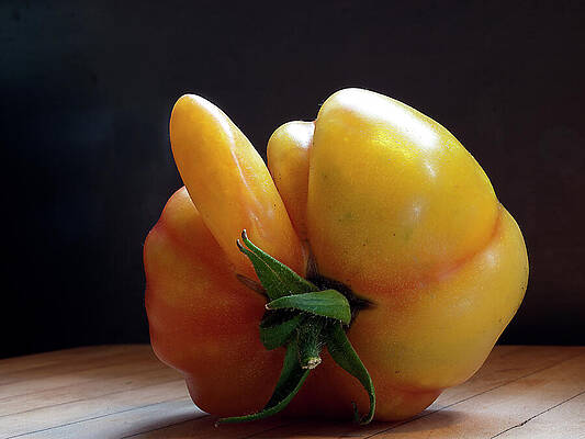 Wall Art featuring the photograph Heres What We Think by Joe Schofield