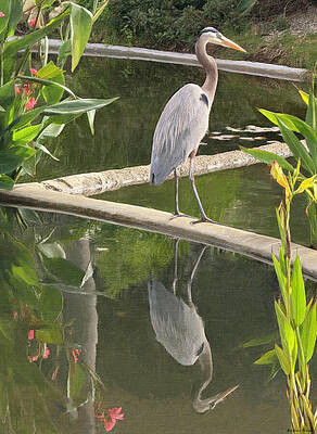 Heron by the Tranquil Pond by Barbara Siegel