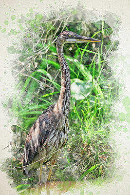Heron in Vibrant Foliage Wall Art