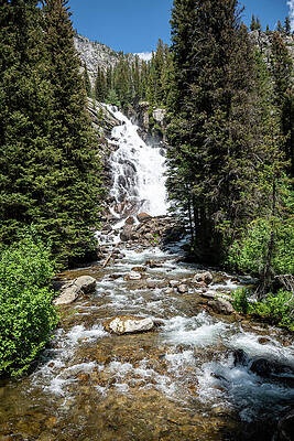 Majestic Forest Waterfall Wall Art