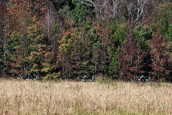 Confederate Wall Art featuring the photograph Hidden Fury by American Landscapes
