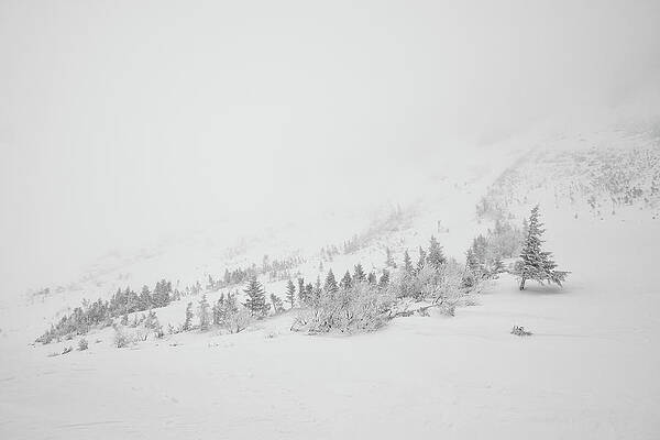 Mountain Wall Art featuring the photograph Hidden Ravine by Jeff Sinon