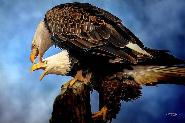 Sky Photograph - High Alert by Theresa D Williams Smoky Mountains