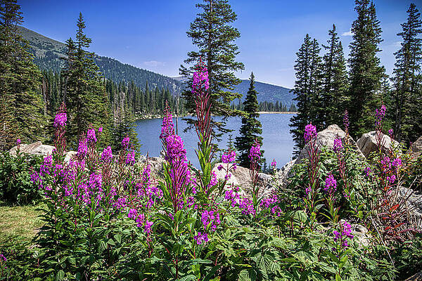 Sky Photograph - High Country Color by Jon Snyder