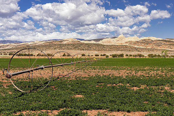 Utah Photograph - High Desert Irrigation by Craig A Walker