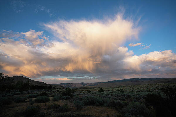 Reno Wall Art featuring the photograph High Desert Skies 4 by Ron Long Ltd Photography