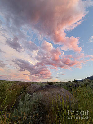 Serene Photograph - High Desert Sunset by Ron Long Ltd Photography