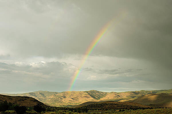 Reno Wall Art featuring the photograph High Desert Thunderstorms 1 by Ron Long Ltd Photography