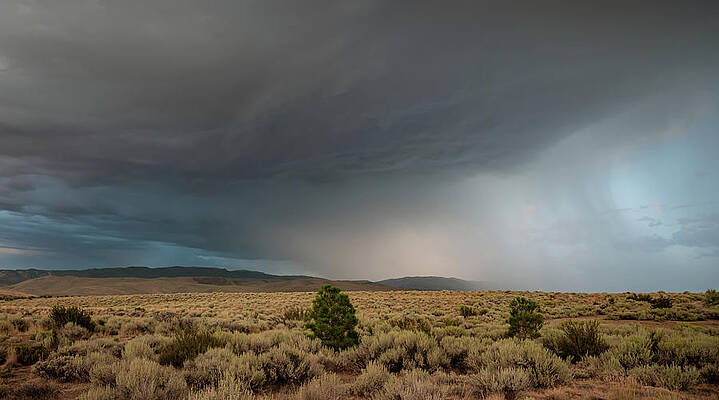 Reno Wall Art featuring the photograph High Desert Thunderstorms 3 by Ron Long Ltd Photography