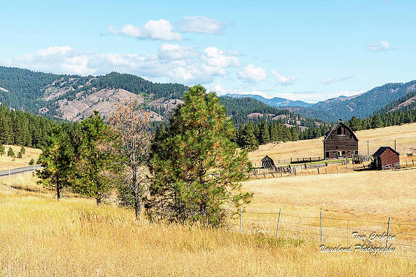 September Photograph - Highway 97 Ranch Memories by Tom Cochran