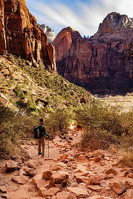 Desert Photograph - Hiker On Emerald Pool Trail by Craig A Walker