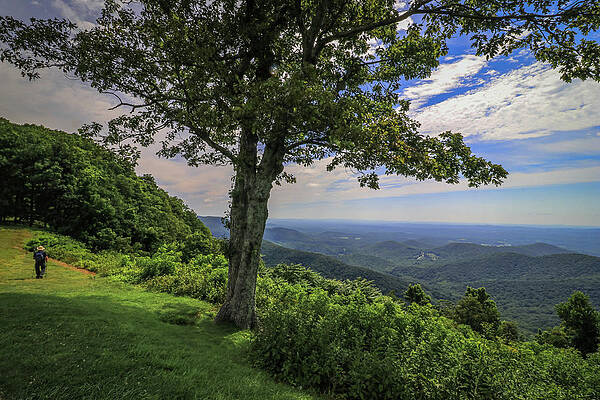 Wall Art featuring the photograph Hiking On The Blue Ridge Parkway by Deb Beausoleil