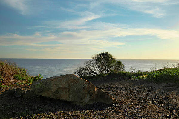 Wall Art featuring the photograph Hiking Trail Down To Beach by Matthew DeGrushe