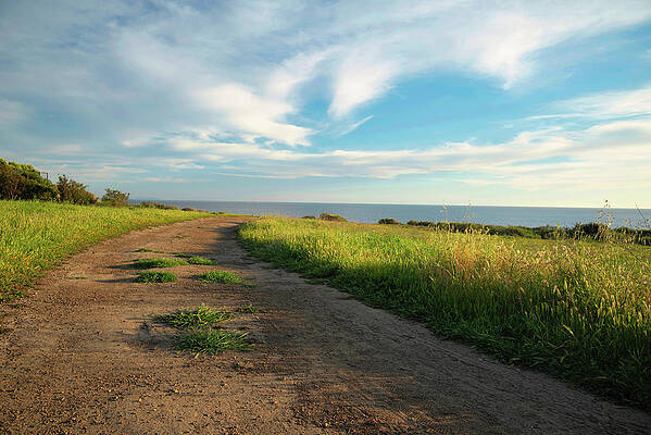 Wall Art featuring the photograph Hiking Trail Overlooking The Ocean by Matthew DeGrushe