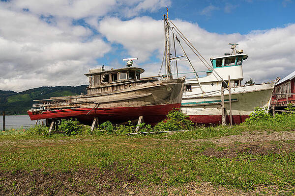 Wall Art featuring the photograph Historic But Rotting Fishing Boats By Ocean At Icy Strait Point by Steve Heap