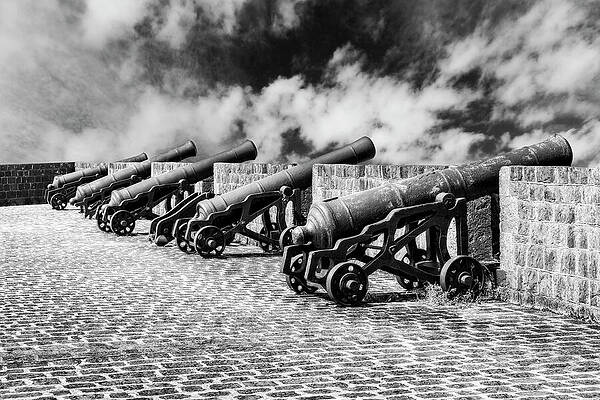 Row of Historic Cannons on Cobblestones Wall Art
