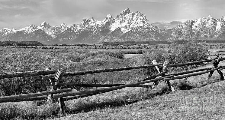 Wall Art featuring the photograph Historic Teton Fence Sunrise Black And White by Adam Jewell