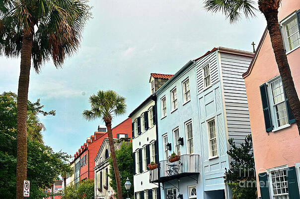 Tree Wall Art featuring the photograph Historic Trails II by La Dolce Vita