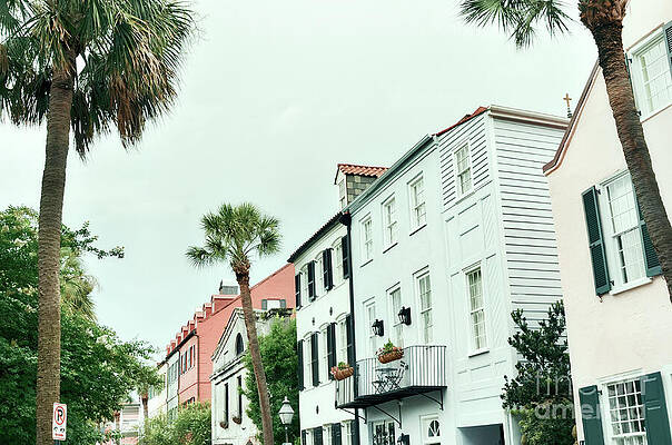Tree Wall Art featuring the photograph Historic Trails by La Dolce Vita