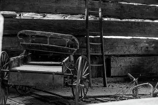 Wall Art featuring the photograph Historic Wagon At Pioneer Village by John Twynam