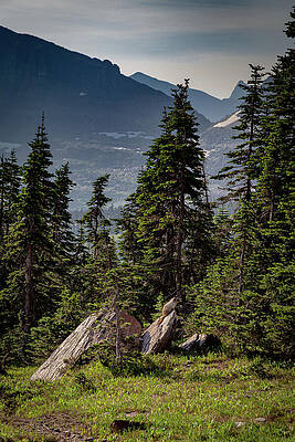 Serene Mountain Forest Landscape Wall Art