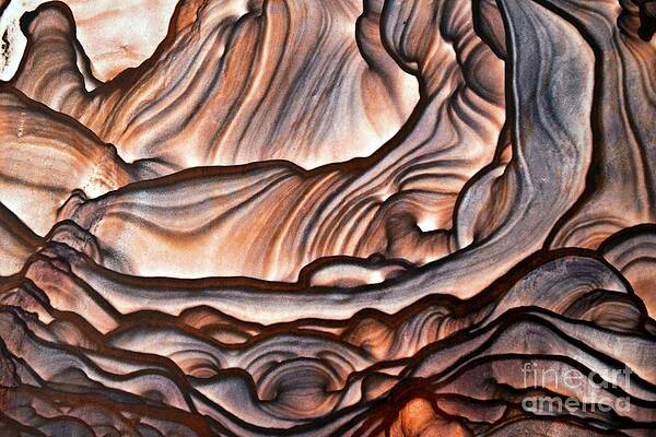 Abstract Photograph - Hobbit Cave by Eric Kyle