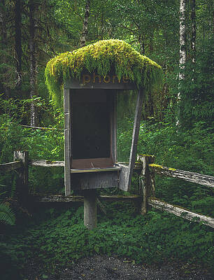 Moody Photograph - Hoh Rainforest Phone Booth by Abbie Warnock