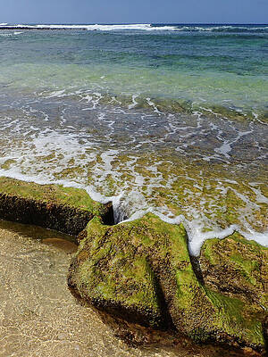 Hawaii Wall Art featuring the photograph Hole In The Rock #1 by Nancy Gleason