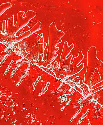 Abstract Photograph - Holiday Ice by Jean Noren