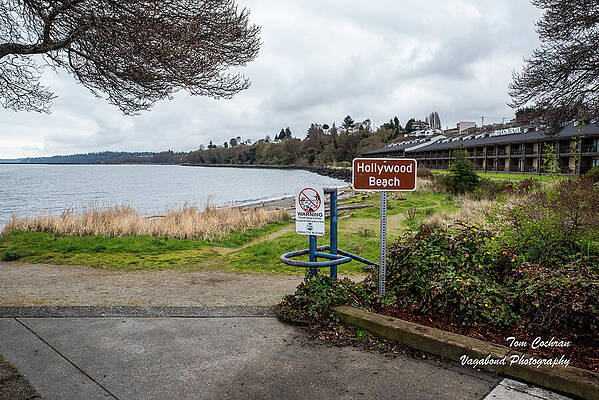 Beach Photograph - Hollywood Beach In Port Angeles by Tom Cochran