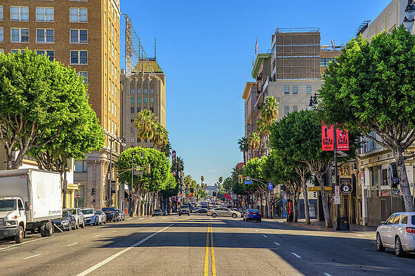 Wall Art featuring the photograph Hollywood Boulevard Street View With Traffic And Trees by Miroslav Liska