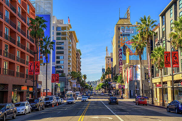 Wall Art featuring the photograph Hollywood Boulevard With Pantages Theatre, Palm Trees And Traffic by Miroslav Liska