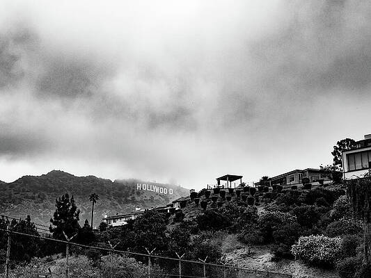 Wall Art featuring the photograph Hollywood Noir by Jeremy Butler