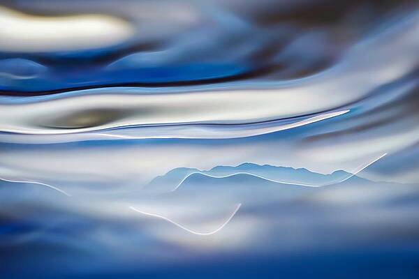 Sky Wall Art featuring the photograph Homage To The Pacific NorthWest by Ursula Abresch
